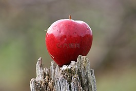 蘋果,紅色,成熟