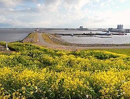燈塔,島,海