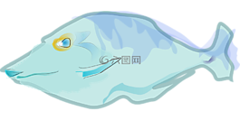 魚,藍色,水