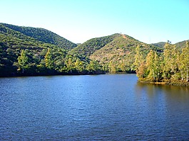 guillena,湖,性質