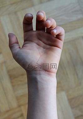 手,手指,靜脈