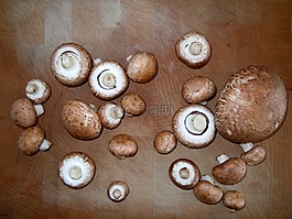 蘑菇,木板,廚師