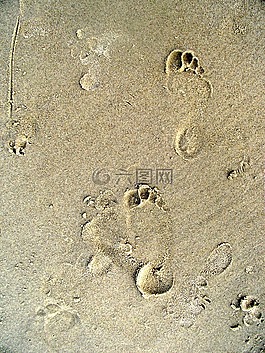 腳印,占地面積,海灘