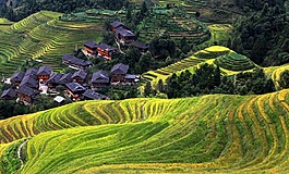 村,亞洲,景觀