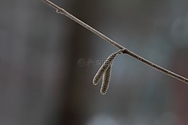 性質(zhì),沒有一個人,戶外