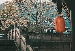 树,建筑,户外