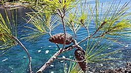 海,性質,雙方