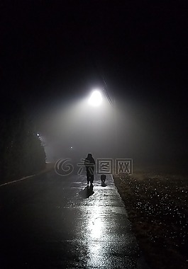 夜,霧,狗