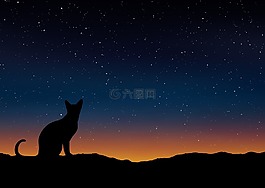 貓,側(cè)影,景觀