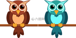 貓頭鷹,可愛,夜間
