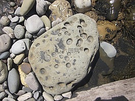 石,海灘,風(fēng)化