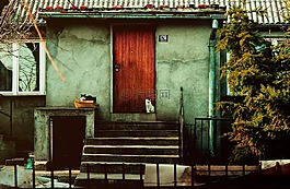 房子,猫,村