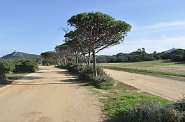 撒丁島,景觀,steinig