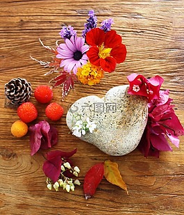 插花,秋花,顏色