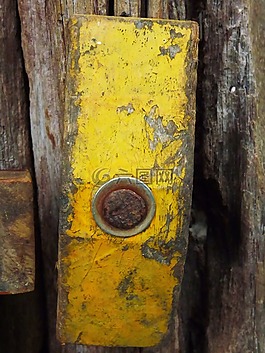 tarcisius,黃色,老