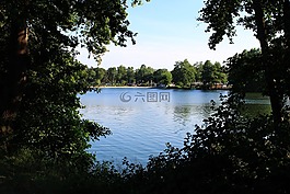 湖,樹木,海灘