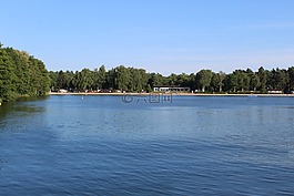 湖,樹木,海灘