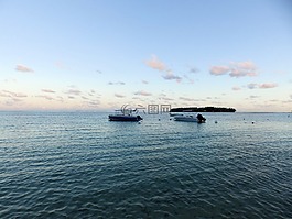 海洋,海,水