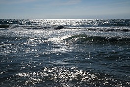 水域,海,性質(zhì)