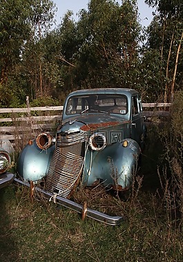 車,老,放棄
