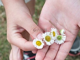鮮花,手,兒童