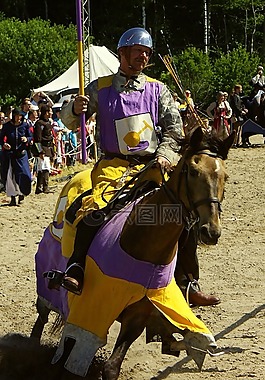 騎士,男子,馬