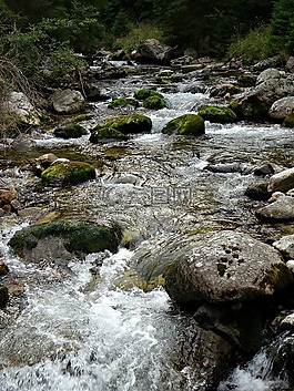 冬奧會(huì),山,水