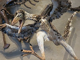 始祖鳥,鳥,恐龍
