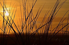 borkum,日落,心情