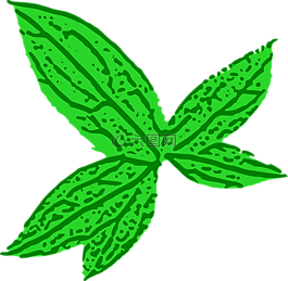 大麻,葉,植物