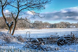 friedrichsfeld,雪,冬天
