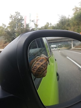 車,蝸牛,瑞士