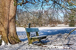 friedrichsfeld,雪,雪景