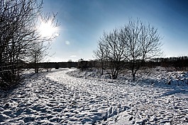 friedrichsfeld,雪,雪景