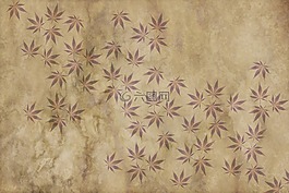 羊皮紙,紙,老