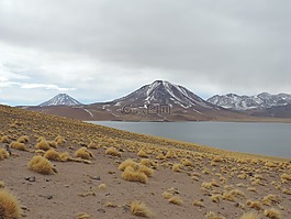 景觀,性質(zhì),沙漠
