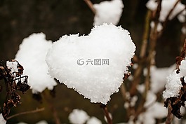 心臟,雪,雪心