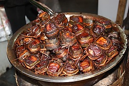 中國(guó),吃,專業(yè)