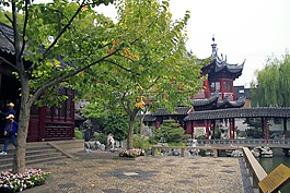 中国,花园,亚洲