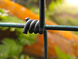 電線,籬笆,特寫