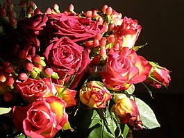 玫瑰,花束,花卉