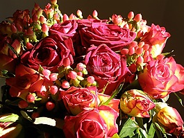 玫瑰,花束,花卉