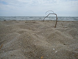 海灘,科,沙