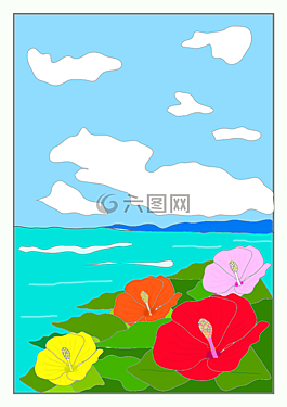 夏季,槿,鮮花