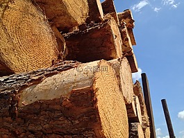 木材,日志記錄,材料
