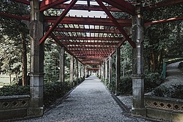 花園,結(jié)構(gòu),列