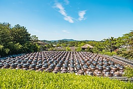 大韓民國,章 dogdae,人工林