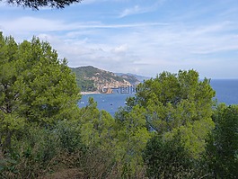 海岸,海,地中海