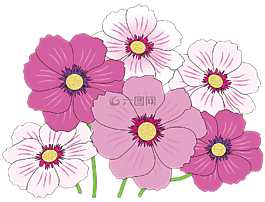 宇宙,秋季,鮮花
