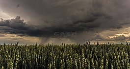 雷暴,云,天氣